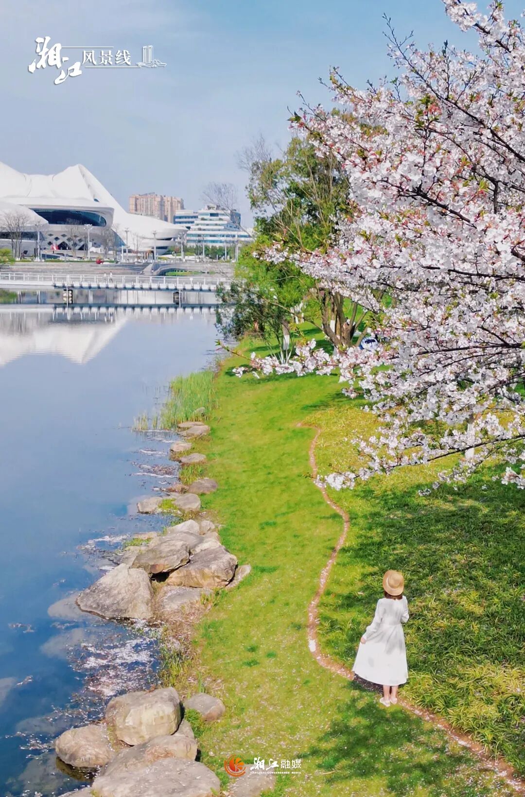 �����C(j��)�����